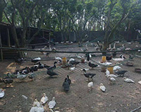 江蘇綠色孵化廠(chǎng)